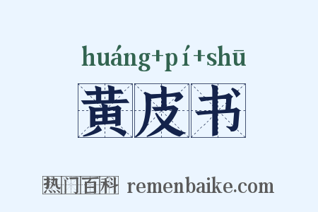 黄皮书是什么意思的图片